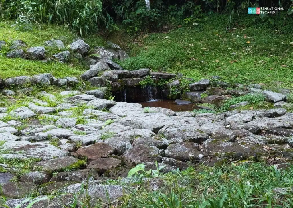 Stone-lined spring of the ancient aqueduct at Guayabo National Monument in Turrialba, Costa Rica, with water flowing gently into a small pool surrounded by greenery.