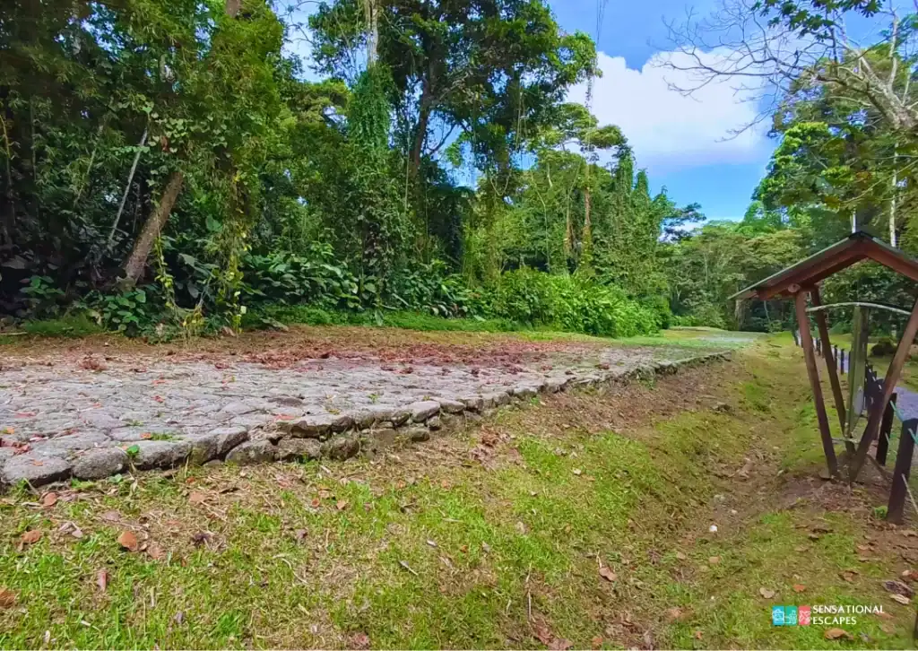 Stone-paved pathway surrounded by lush tropical forest at Guayabo National Monument in Turrialba, Costa Rica, with a small wooden information sign on the side.