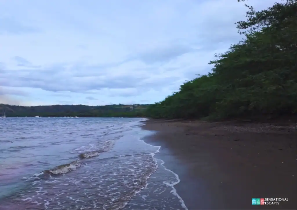 Tramo tranquilo de Playa Panamá en Guanacaste con olas suaves, arena oscura y densa vegetación verde a lo largo de la orilla.