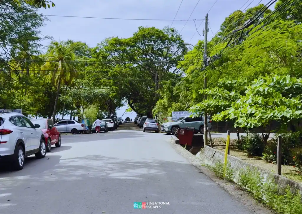 Calle asfaltada con carros a ambos lados y árboles frondosos que conduce directo a Playa Hermosa, con un vistazo del mar al fondo.