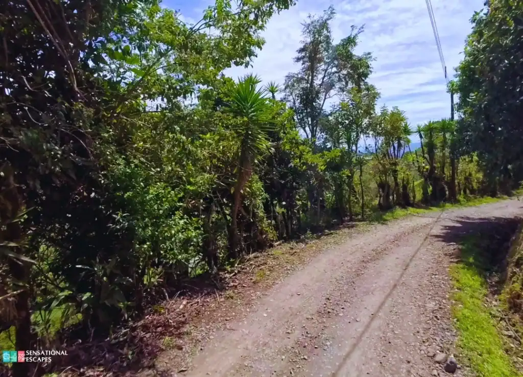 Unpaved road surrounded by lush greenery leading to the dairy farm near Las Trillizas Waterfalls in Turrialba, Costa Rica.