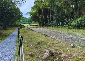 Guayabo National Monument: Costa Rica’s Mysterious Ancient Ruins