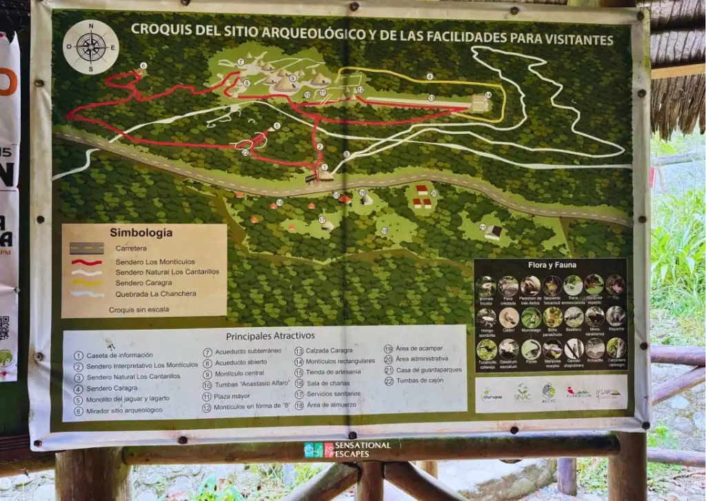 Illustrated visitor map of Guayabo National Monument in Turrialba, Costa Rica, showing archaeological sites, walking trails, facilities, and local flora and fauna.