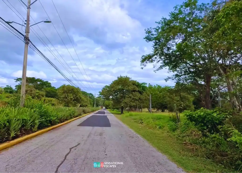 Carretera asfaltada hacia Playa Buena, Guanacaste, bordeada de &aacute;rboles y vegetaci&oacute;n bajo un cielo parcialmente nublado.