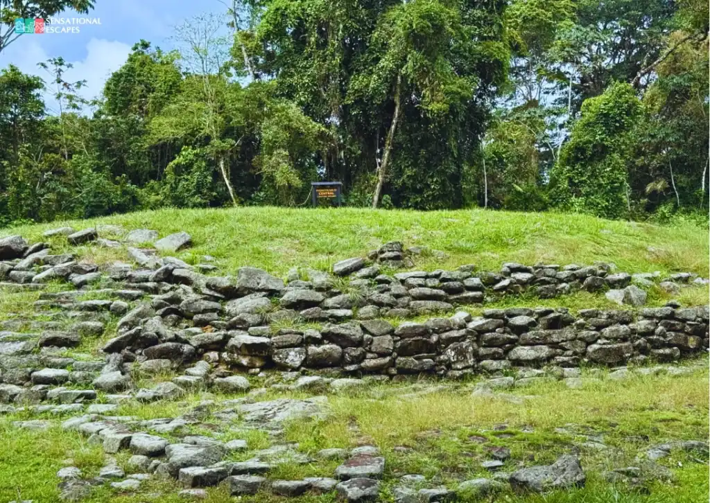 Stone terraces and grassy top of the Central Mound at Guayabo National Monument in Turrialba, Costa Rica, surrounded by dense tropical forest.