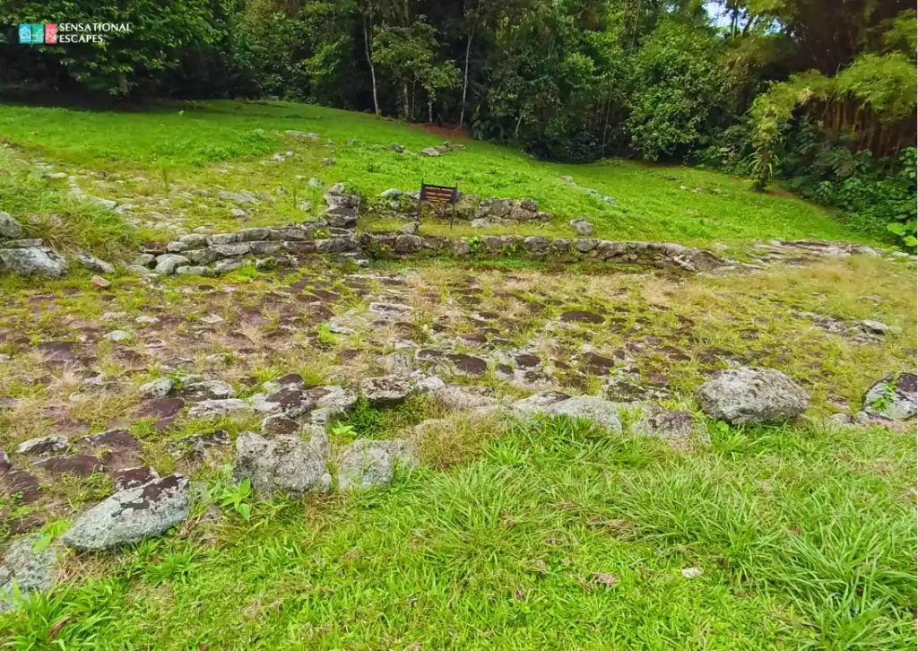 Remains of a circular stone structure at Guayabo National Monument in Turrialba, Costa Rica, partially covered with grass and surrounded by lush greenery.