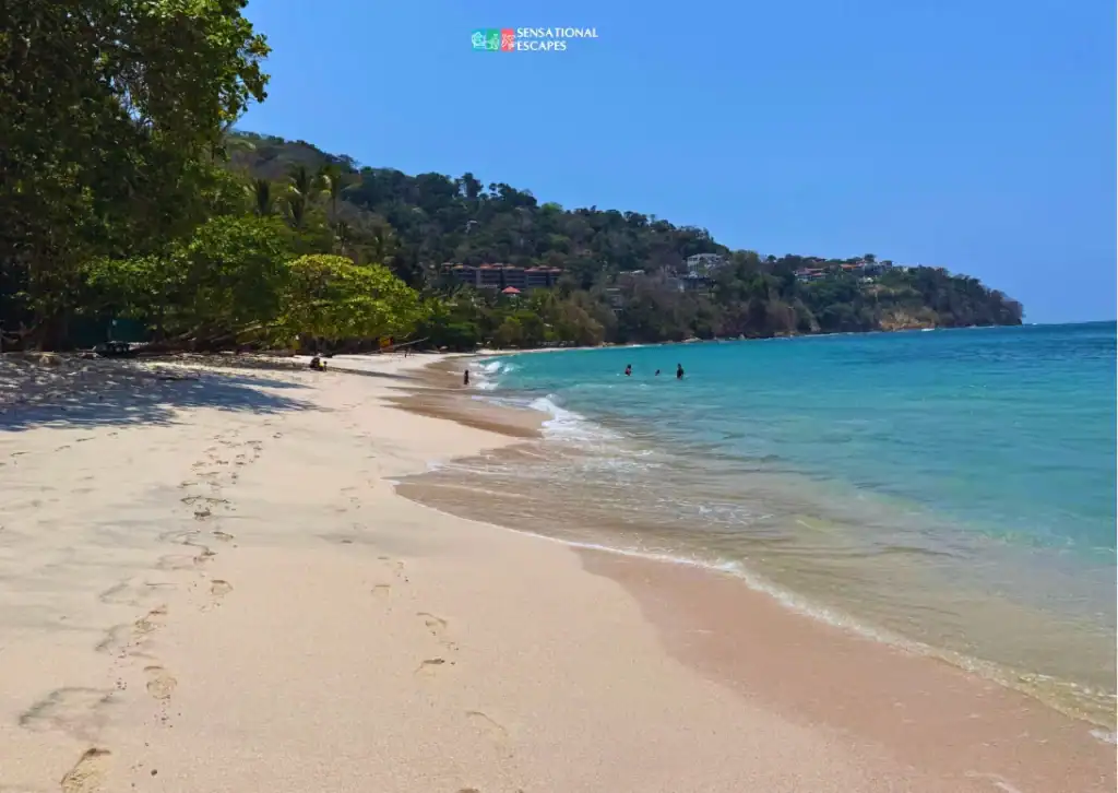 Soft sandy beach with clear turquoise water and lush green trees, with a few people relaxing and swimming at Playa Blanca.