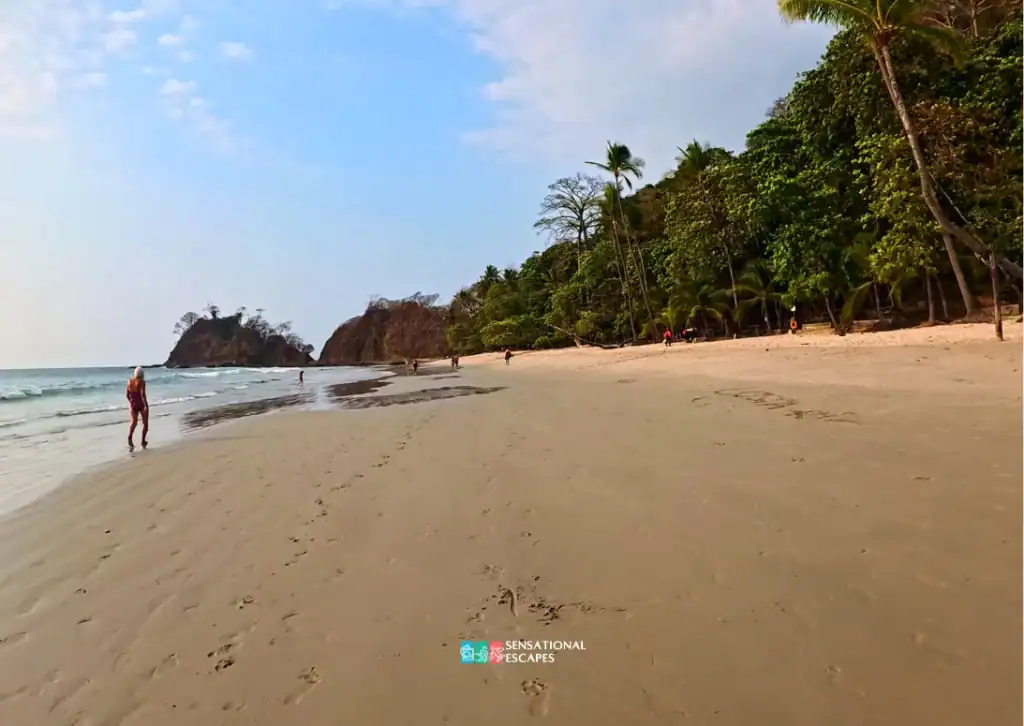 Peaceful sandy beach at Playa Blanca with gentle waves, a few visitors walking, and lush green trees lining the shore.