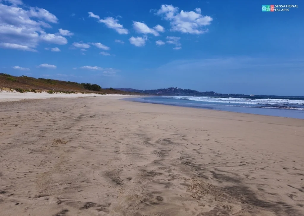 Las Baulas Marine National Park: Beaches and Estuaries to Explore ...