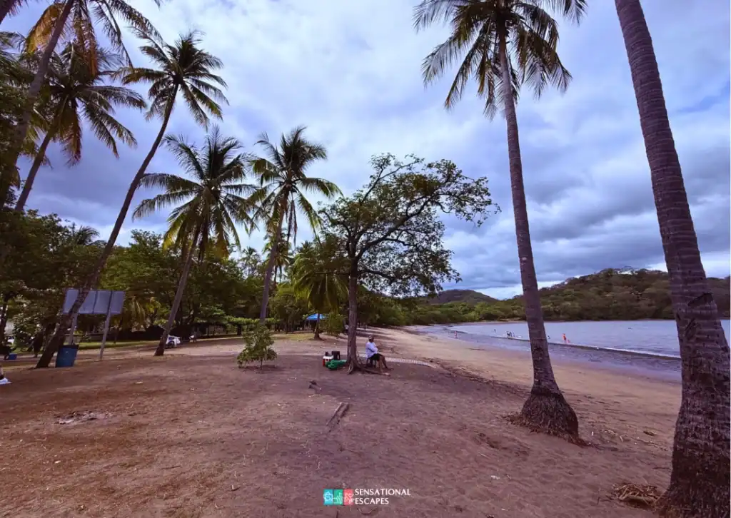 Vista tranquila de Playa Panamá en Guanacaste con palmeras altas, arena suave y algunas personas caminando por la orilla bajo un cielo nublado.