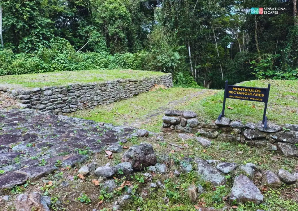 Ancient rectangular stone mounds at Guayabo National Monument in Turrialba, Costa Rica, surrounded by lush tropical forest.
