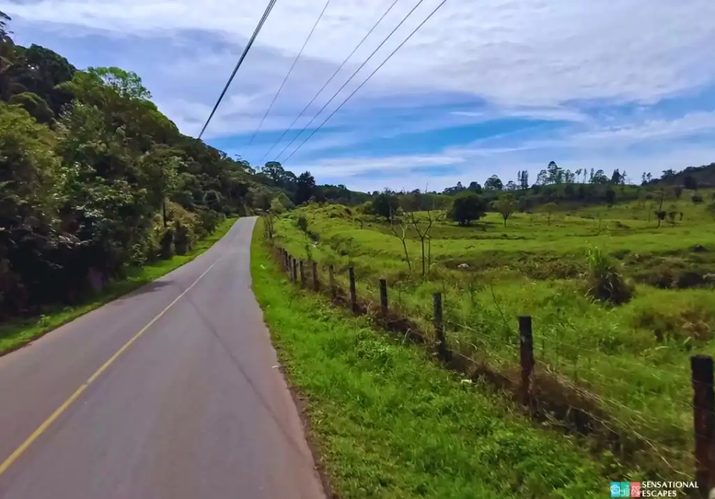 Scenic view of Route 230 leading to Las Trillizas Waterfalls in Turrialba, Costa Rica, with green pastures, trees, and a clear sky.