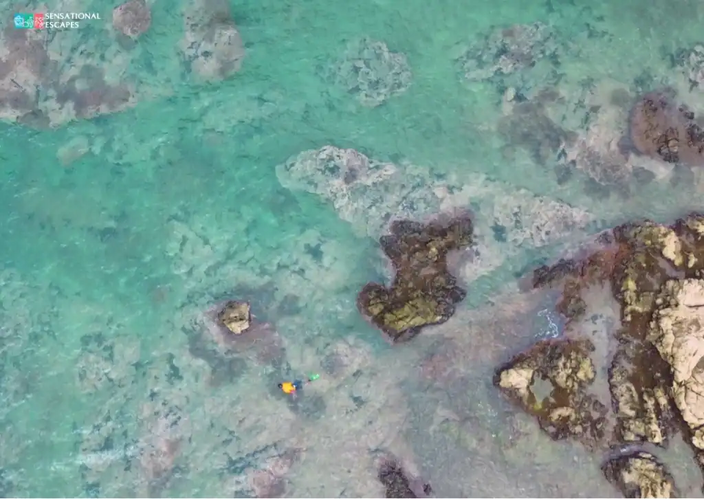 Persona practicando snorkel cerca de la barrera rocosa en Playa Buena.
