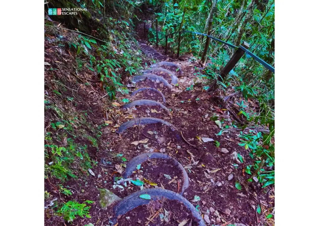 Steep jungle trail with makeshift steps made from cut tires, surrounded by dense forest, on the way to Las Trillizas Waterfalls in Turrialba, Costa Rica.