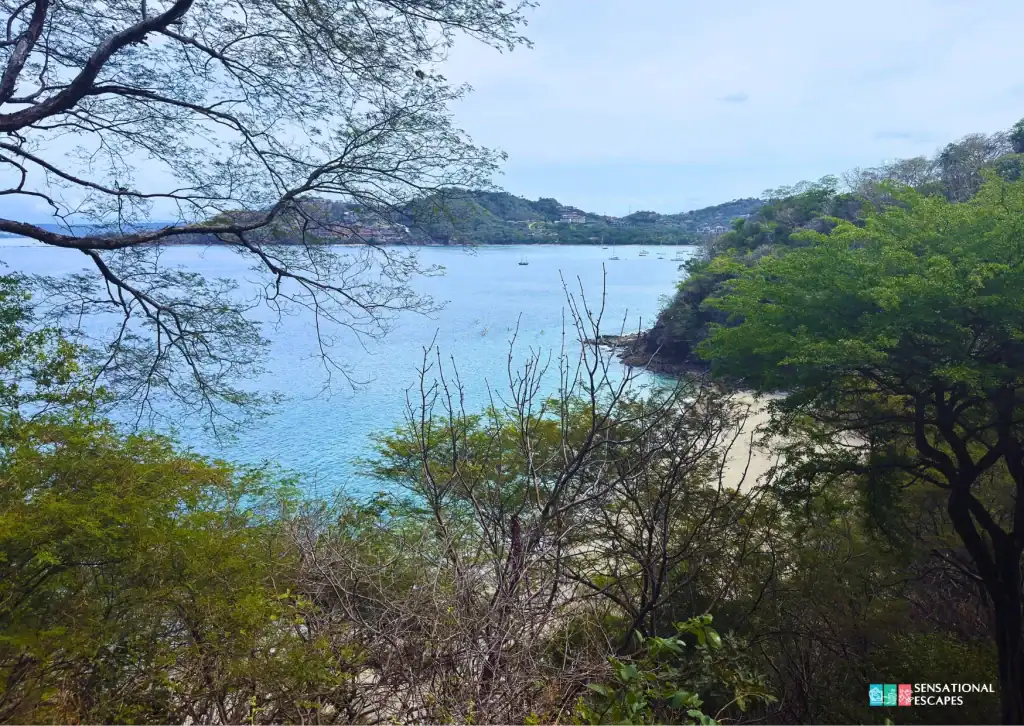 Vista esc&eacute;nica de la bah&iacute;a turquesa de Playa Calz&oacute;n de Pobre entre ramas a lo largo del sendero, con botes anclados y cerros boscosos en Guanacaste, Costa Rica.