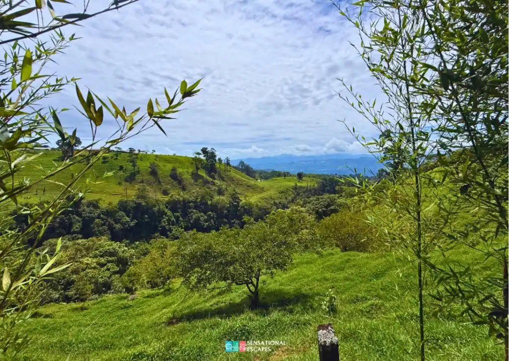 Lush green hills and distant mountain views along the trail to Las Trillizas Waterfalls in Turrialba, Costa Rica, framed by bamboo and leafy trees.