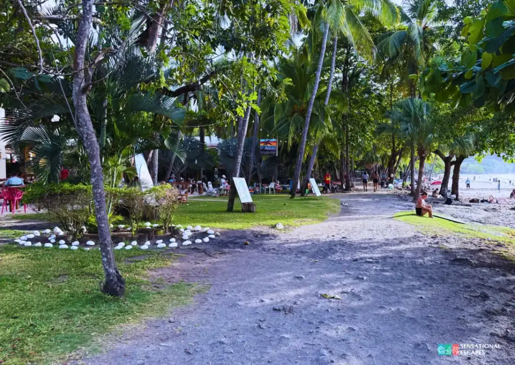 Sendero sombreado junto a la playa en Playa Hermosa con palmeras, zacate y restaurantes abiertos con gente comiendo y descansando cerca de la orilla.